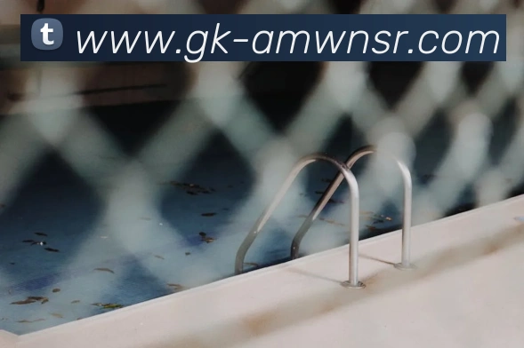 多媒体互动体验